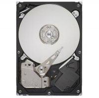 Seagate ST3200542AS